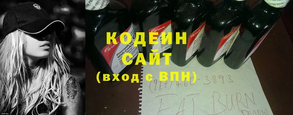 прущие грибы Инта