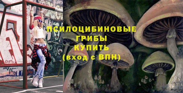 mdpv Инсар