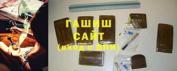 прущие грибы Инта