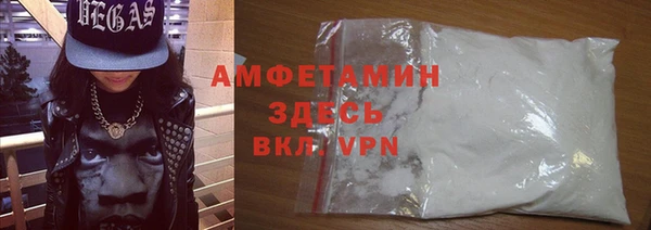 прущие грибы Инта