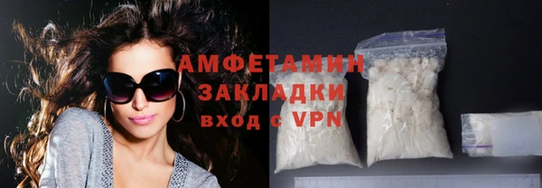 прущие грибы Инта
