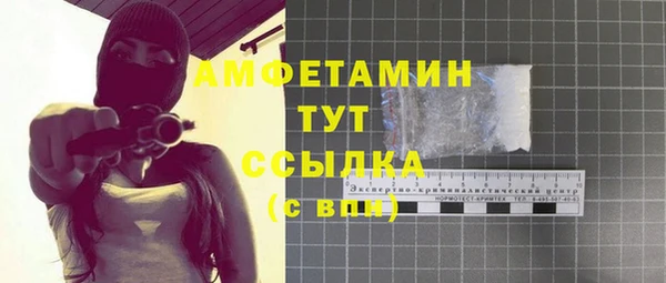 прущие грибы Инта