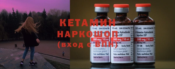 прущие грибы Инта
