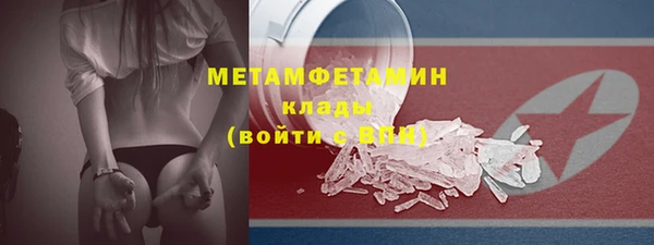 прущие грибы Инта