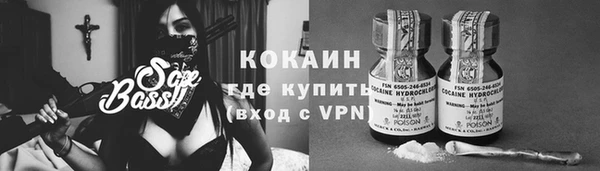 прущие грибы Инта