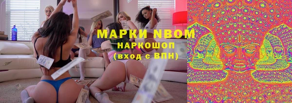 прущие грибы Инта