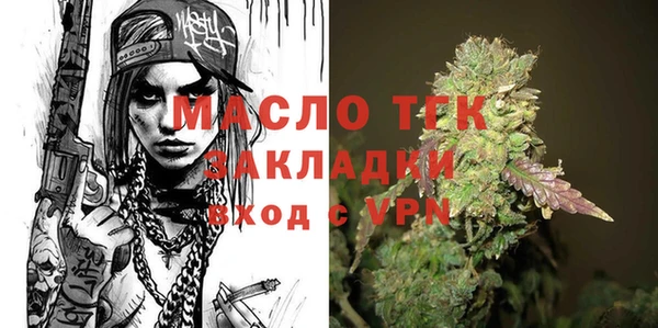 прущие грибы Инта