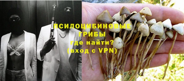 mdpv Инсар