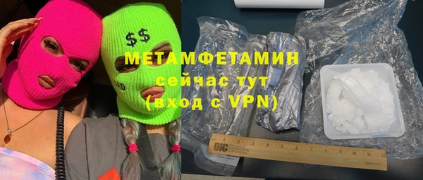 прущие грибы Инта