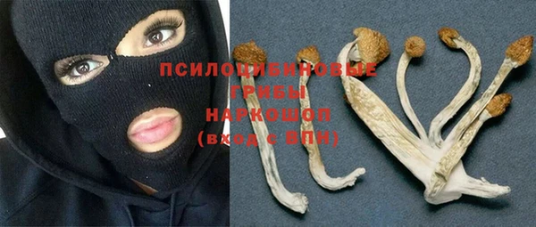 mdpv Инсар