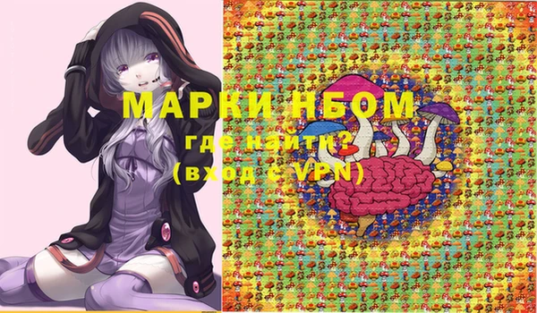 mdpv Инсар
