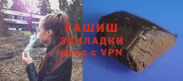 прущие грибы Инта