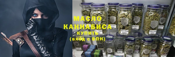 прущие грибы Инта